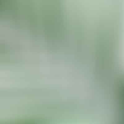 A Guide to Choosing the Perfect Succulent for Your Space: Factors to Consider and Popular Options