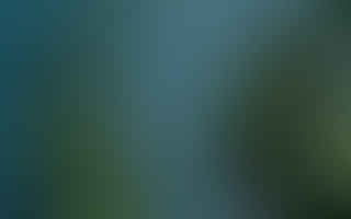 Can succulent plants survive in artificial light?
