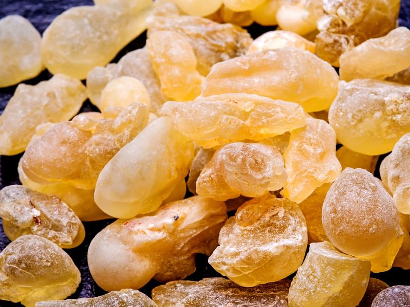 Boswellia | Burseraceae