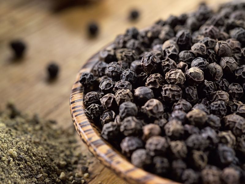 Piper Nigrum (Black Pepper) | Piper | Piperaceae